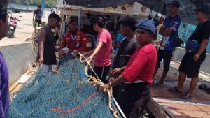 EWF | Bukan Kapal Trawl, KKP Sebut Dua Kapal Ikan di Merauke Belum Lengkapi Izin