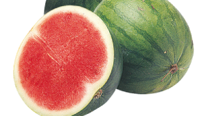 EWF | China Jadi Raja Semangka Dunia, Produksi RI Tak Ada Apa-apanya