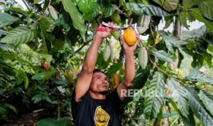 EWF | Diversifikasi Komoditas Dorong Ekonomi Desa