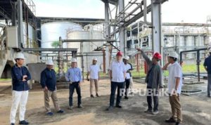 EWF | Dukung Ketahanan Pangan dan Energi, PTPN III Kembangkan Hilirisasi Ubi Kayu