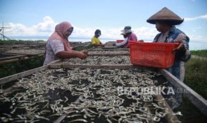 EWF | Kemendes Gandeng Mitra Genjot Program Desa Ekspor