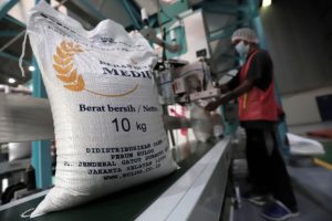EWF | Krisis Bahan Baku Plastik, Pemerintah Jajaki Impor Kemasan dari Malaysia hingga Rusia