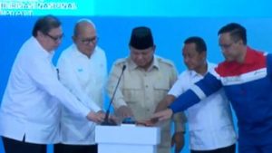 EWF | Momen Prabowo Resmikan 13 Proyek Hilirisasi, Total Investasi Rp116 T
