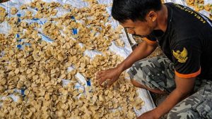 EWF | Sentuhan Pemberdayaan BRI Dorong Desa Sumberejo Pacitan Jadi Motor Ekonomi Baru