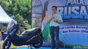 EWF | Bisnis Burung Hias Kena Dampak Perang Timur Tengah