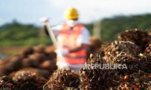 EWF | Cuaca dan Harga Pupuk Jadi Tantangan Emiten Sawit