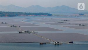 EWF | IESR: Dua Tahun Pertama Jadi Penentu Program PLTS 100 GW