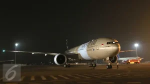 EWF | Danantara Kaji Bentuk Perusahaan Leasing Pesawat