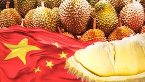 EWF | Durian Bisa Jadi Mesin Devisa Baru RI, China Siap Menampung