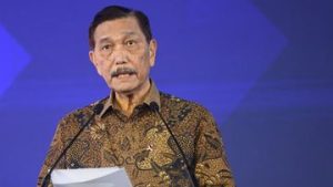 EWF | Luhut Ungkap Belanja MBG Rp120 T Belum Banyak Netes ke Petani-Peternak