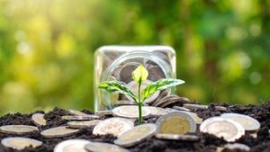 EWF | Strategi Pilih Reksa Dana dan Obligasi saat BI Rate Terus Naik