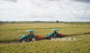 EWF | Bapanas Pastikan Harga Beras Terkendali, Cadangan Beras Pemerintah Tembus 5,2 Juta Ton