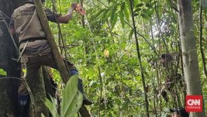 EWF | Cuan Karbon Sejahterakan Warga Desa di Belantara Hutan Jambi