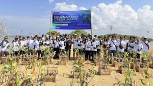 EWF | Hari Mangrove Sedunia, PNM Beri Dampak bagi Lingkungan-Ekonomi Pesisir
