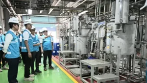EWF | Kejar Program Pembangkit Tenaga Surya, PLN Sempat Terkendala Lahan
