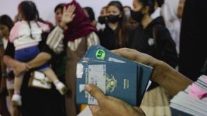 EWF | Menteri P2MI Ungkap Modus TPPO dari Tawaran Kerja ke Luar Negeri Ilegal