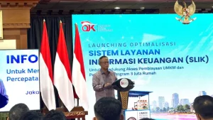 EWF | OJK Beberkan 4 Tujuan Utama Optimalisasi Sistem Layanan Informasi Keuangan