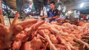 EWF | Pedagang Cemas Jualan Ayam dan Telur Kian Sepi Usai Harga Acuan Naik