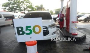 EWF | Pengembangan B50 Diproyeksikan Dorong Pertumbuhan Ekonomi Daerah Penghasil Sawit