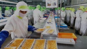 EWF | Profil Perusahaan Kaesang PT PMMP yang Terlilit Utang Bank Rp2,8 T