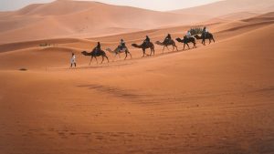 EQUITYWORLD FUTURES JAKARTA | Arab di Tahun Gajah: Begini Ekonomi Mekkah Saat Nabi Muhammad Lahir