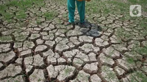 EWF | Bappenas Perluas Sumber Pembiayaan demi Antisipasi Dampak El Nino