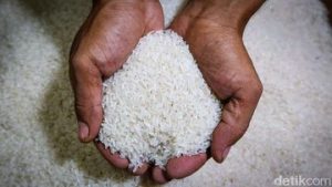 EQUITYWORLD FUTURES JAKARTA | Produsen Buru-buru Tarik Stok, Bapanas Lanjut Usut Beras Fortifikasi Bermasalah