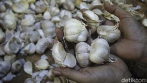 EQUITYWORLD FUTURES JAKARTA | RI Impor Bawang Putih 229 Ribu Ton Sejak Awal Tahun, 98% dari China