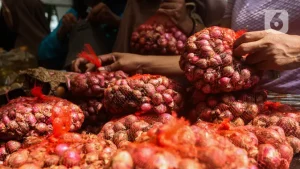 EQUITYWORLD FUTURES JAKARTA | Top 3: Bawang Merah Sentuh Rp 39.450 per Kg
