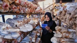EQUITYWORLD FUTURES JAKARTA | Bisnis UMKM BRI Tetap Ekspansif di Kuartal II 2026, Optimisme Pelaku Usaha Masih Terjaga