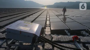 EQUITYWORLD FUTURES JAKARTA | Perempuan Didorong Jadi Penggerak Transisi Energi