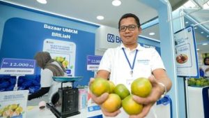 EQUITYWORLD FUTURES JAKARTA | Dukungan Kredit BRI Bantu Kembangkan Usaha Jeruk Warga Jember