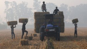 EQUITYWORLD FUTURES JAKARTA | El Nino Mengancam India, Krisis Pangan dan Ekonomi di Depan Mata