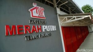 EQUITYWORLD FUTURES JAKARTA | Gaji Manajer Kopdes Rp 6,8 sampai Rp 8,3 Juta, Ditanggung APBN 2 Tahun