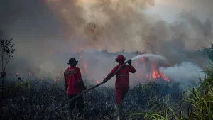 EQUITYWORLD FUTURES JAKARTA | Kebakaran Hutan Hanguskan Omzet Pengusaha Pariwisata dan Transportasi