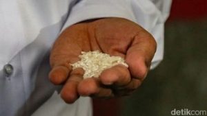 EQUITYWORLD FUTURES JAKARTA | Kronologi Beras SPHP Dioplos: Mitra Bulog Pesan 4 Ton-Dikemas Ulang Jadi 50 Kg