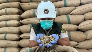 EQUITYWORLD FUTURES JAKARTA | Tembus Pasar China hingga Italia, UMKM Kopi Lampung Genjot Hilirisasi